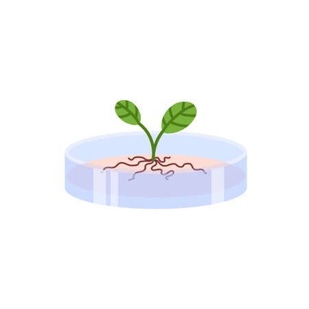 Plants genetic modification and bioengineering flat vector illustration isolated.のイラスト素材