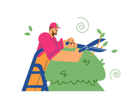 Man trimming tree with shears or garden scissors, flat vector illustration isolated on white...