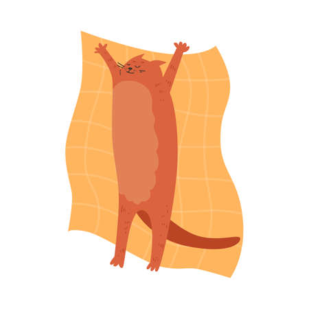 Cute and funny cat sleeping on his back on bedding, cartoon flat vector illustration isolated on white background.のイラスト素材