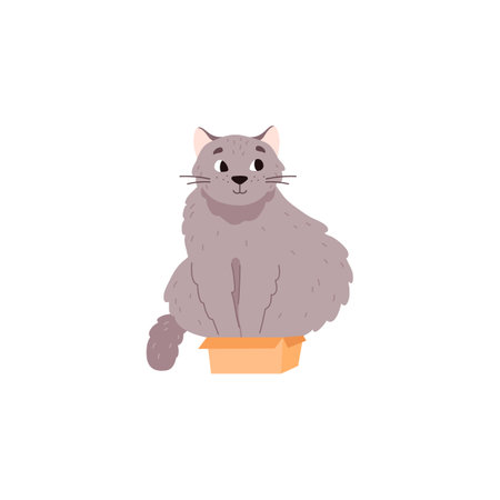 Funny fat fluffy cat sitting in small box, flat vector illustration isolated.のイラスト素材