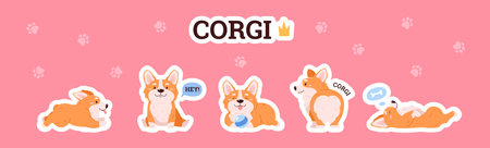 Funny corgi sticker set, cartoon flat vector illustration.のイラスト素材
