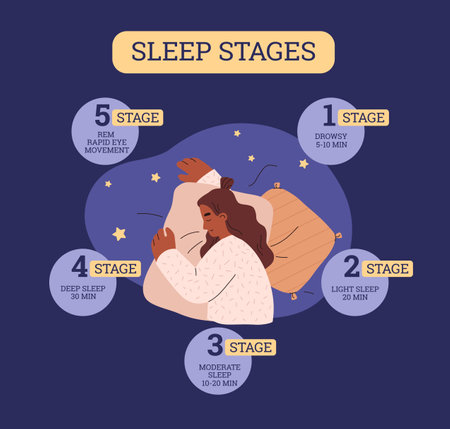 Sleep stages infographic, flat vector illustration isolated.のイラスト素材