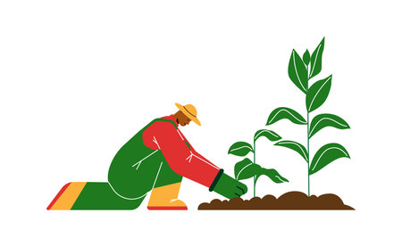 Smiling young man in yellow hat caring for tobacco plant flat styleのイラスト素材