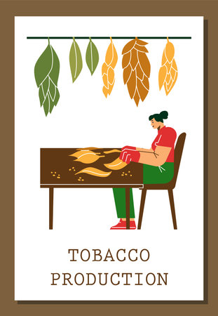 Tobacco production advertising poster, flat vector illustration.のイラスト素材