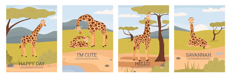Banners or cards with giraffes in african savanna, flat vector illustration.のイラスト素材