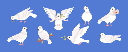 Set of white pigeons in various poses flat style, vector illustrationのイラスト素材