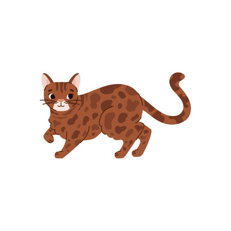 Cute bengal cat walking, cartoon flat vector illustration isolated on white background. Cheerful animal drawing.のイラスト素材