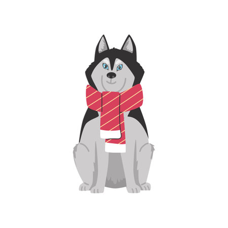 Cute Siberian husky dog wearing scarf, cartoon flat vector illustration isolated on white background.のイラスト素材