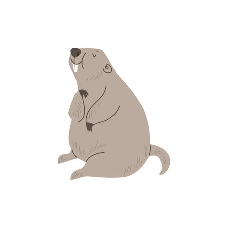 Cheerful groundhog animal, cartoon flat vector illustration isolated on white background.のイラスト素材
