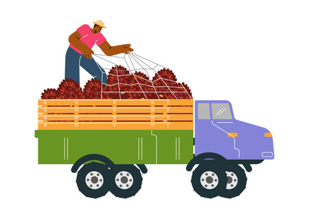 Truck with palm oil fruits flat style, vector illustrationのイラスト素材