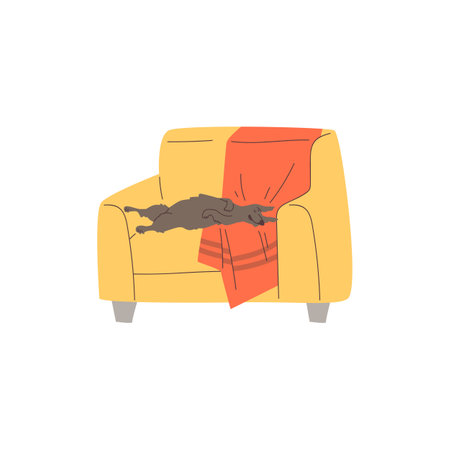 Funny dog sleeping on armchair or couch, flat vector illustration isolated on white background.のイラスト素材