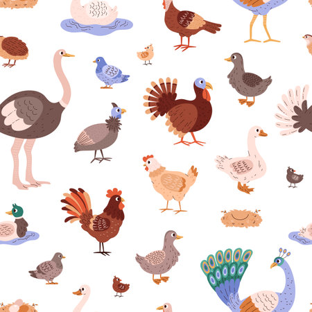 Poultry birds vector cartoon seamless pattern, different farm birds hen goose, duck, peacock, pheasant ostrich turkeyのイラスト素材