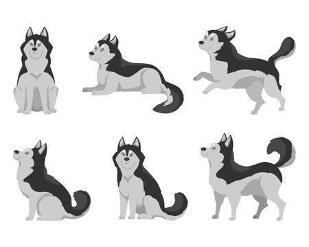 Set of flat cartoon vector illustrations husky dogs with blue eyes, Happy domestic husky puppy sitting, lying, jumpingのイラスト素材
