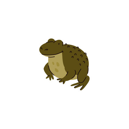 Green frog sitting.のイラスト素材