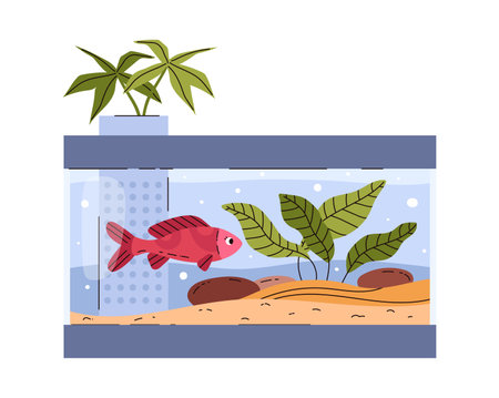 Rectangular glass aquarium with fish and seaweeds, vector on whiteのイラスト素材