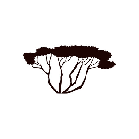 Acacia tree black silhouette icon, desert flora and nature, vector outline illustration isolated on whiteのイラスト素材