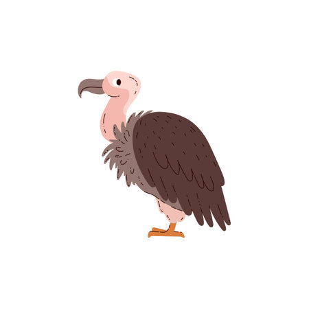 Vulture prey bird side view.のイラスト素材