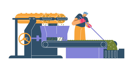Worker adjusts tea leaves on conveyor belt during the production process.のイラスト素材
