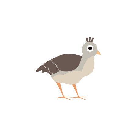 Beautiful peacock baby, vector illustration of exotic peafowl kid, cartoon cute brown bird child isolated on whiteのイラスト素材
