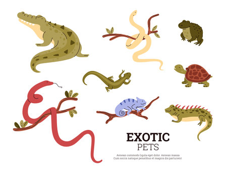 Exotic pets reptiles vector set, frog and guana, turtle, chameleon and lizard, crocodile and snakes, poster with animalsのイラスト素材