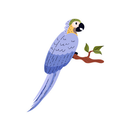 Parrot sitting on branch.のイラスト素材