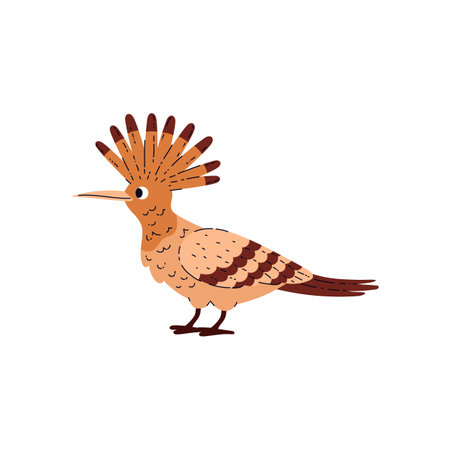 Tropical hoopoe bird with crest and long beak, striped orange plumage, vector cartoon exotic wild bird jungle animalのイラスト素材
