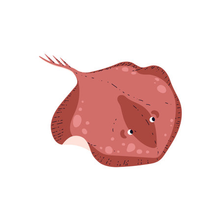 Cute red swimming stingray flat style, vector illustrationのイラスト素材