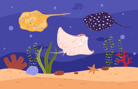 Undersea life, stingrays in water, vector illustration in flat cartoon styleのイラスト素材