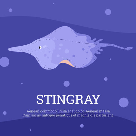 Stingray. Vector illustration of manta fish swimming in the sea.のイラスト素材