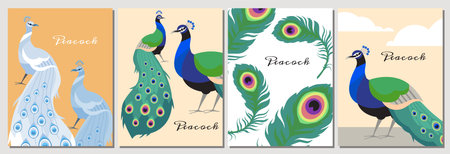 Decorative card with peacock design, hand drawn vector illustrations set.のイラスト素材
