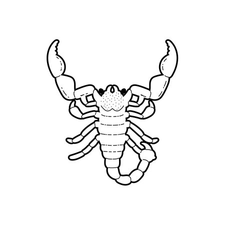 Scorpio, sketch line art, vector illustration isolated on white backgroundのイラスト素材