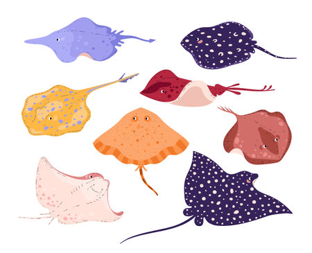Stingrays, set of vector illustration isolated on white, flat cartoon styleのイラスト素材