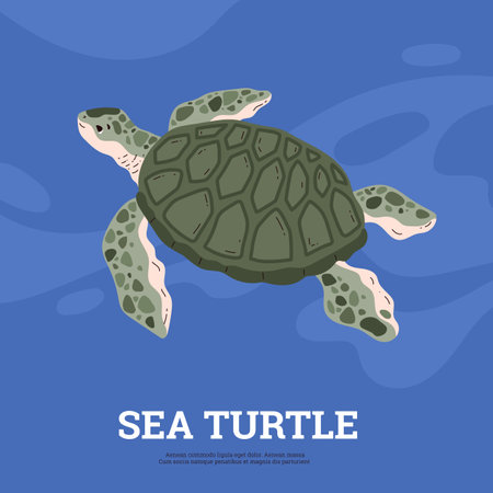 Vector illustration of a spotted sea turtle floating on the sea in a flat style on a white backgroundのイラスト素材