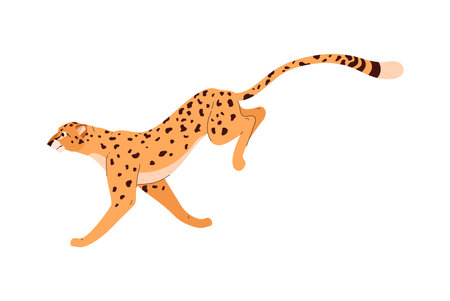 Agile cheetah in motion vector illustrationのイラスト素材