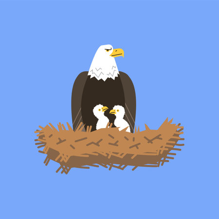 Eagle in a nest with chicks, Vector isolated illustration.のイラスト素材