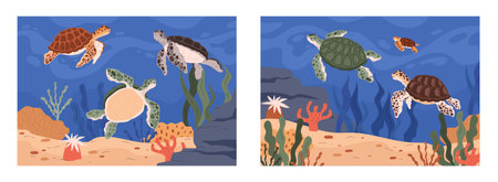 A set of two illustrations depicting underwater scenes with spotted sea turtles swimming among coral and algaeのイラスト素材