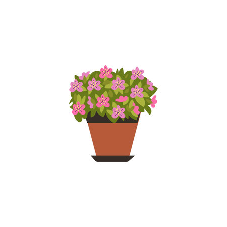 Elegant vector illustration with an azalea flower in a flower pot on a white backgroundのイラスト素材