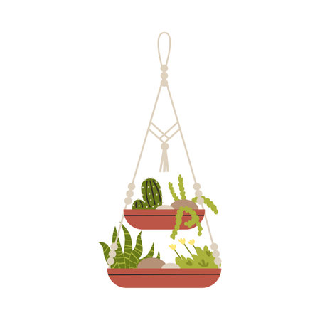 Macrame hangers for plants growing in pots, vector houseplant hang on knitted rope, decorative flowers, succulent cactusのイラスト素材