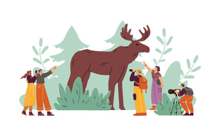 Vector illustration of men and women in the forest who are observing mooseのイラスト素材
