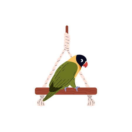 Agapornis parrot in vector cartoon illustration, sitting on a hanging swing.のイラスト素材