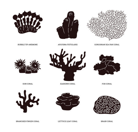 Set of various corals. Black silhouette with text.のイラスト素材