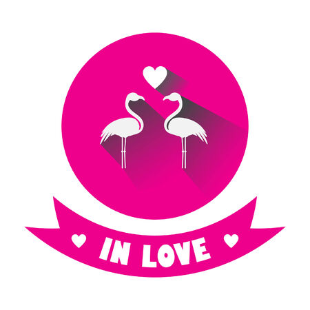 Two flamingos in loveのイラスト素材