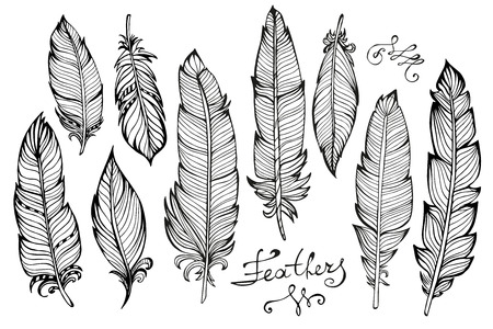 Hand drawn bird feathers  closeup big set isolated on white background. Boho style. Vector illustrationのイラスト素材