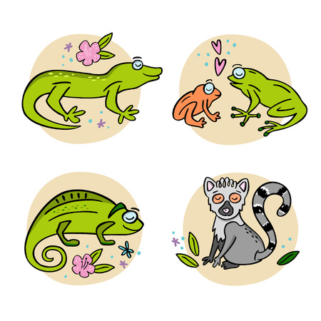 Set of cute handdrawn Madagascar animals. Frog, chameleon, gekko, lemur. Hand drawn vector illustration with design elements.のイラスト素材