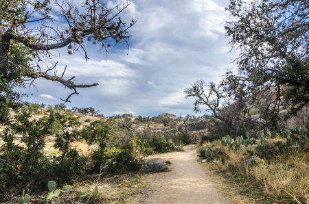 13020 years ago  in 2011  on Midgard- Earth fell into the Pacific Ocean Moon shattered shards Fatta   Leaders Antlany  Atlantis  having a negative evolutionary skewed steel conductors Dark Forces and unleashed a planetary war for world domination  They usの写真素材