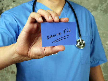 Health care concept meaning Canine Flu  with phrase on the piece of paper.