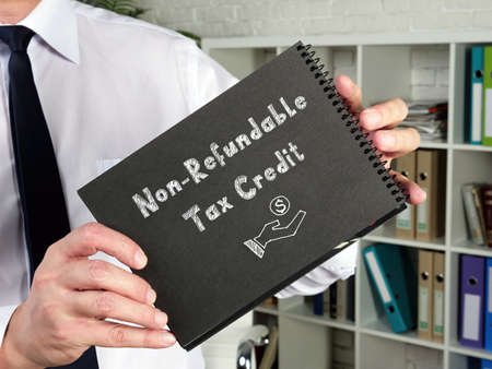 Non-Refundable Tax Credit phrase on the sheet.