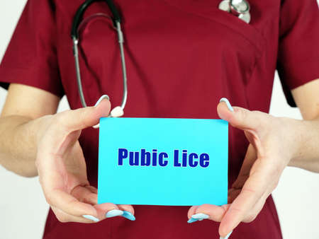 Medical concept about Pubic Lice Crabs with phrase on the piece of paper.の写真素材