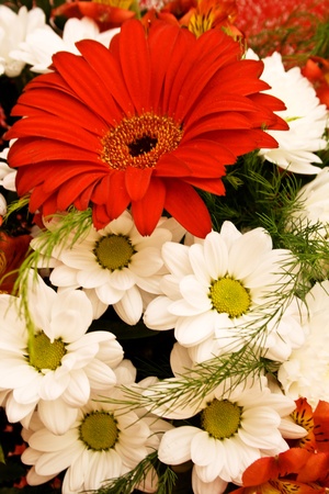 Bouquet of autumn colored flowersの写真素材