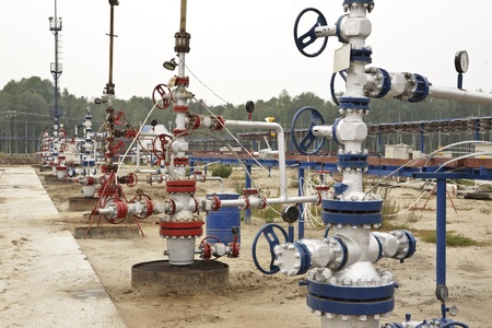 Wellhead in the oil and gas industry